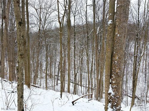 0 Tract 2 Morrs Ridge Road, Woodsfield, OH, 43793 | Card Image