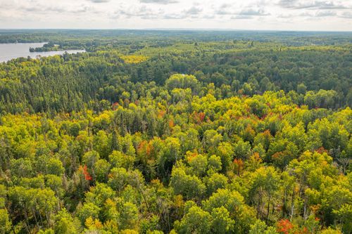 TBD N White Iron Rd, Ely, MN, 55731 | Card Image