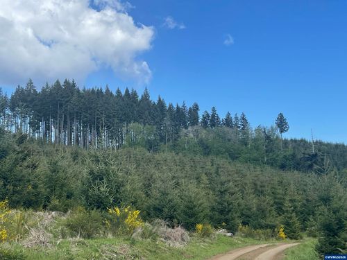 Lot 13 Sw Rock Creek Rd, Sheridan, OR, 97378 | Card Image