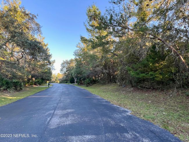 909 Eagle Drive, Home with 0 bedrooms, 0 bathrooms and null parking in St Augustine FL | Image 11