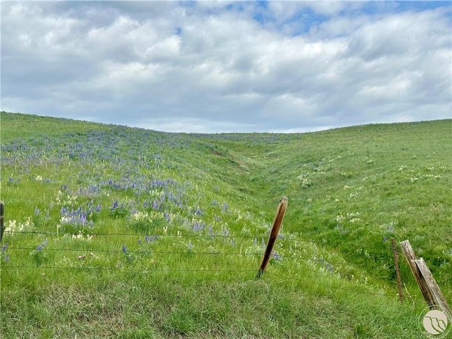 15.9 Ac Buck Creek Road, Home with 0 bedrooms, 0 bathrooms and null parking in Absarokee MT | Image 9