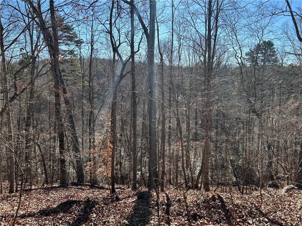 Land in Demorest 3