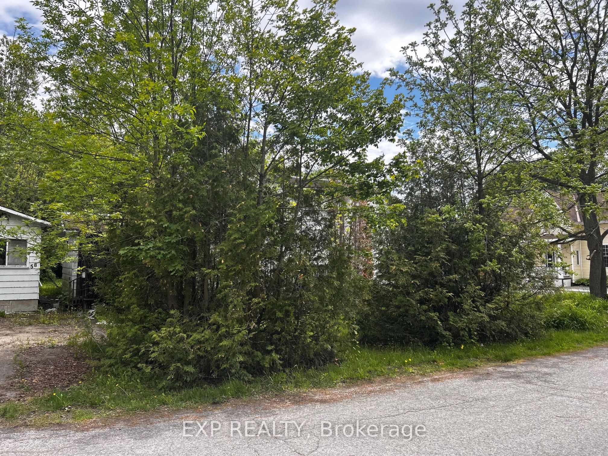Residential in Carleton Place 3