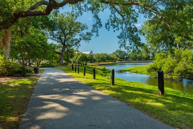 Daniel island Walkways and Trails | Image 28