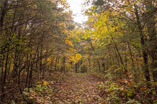 31667 74, Kingston, AR, 72742 | Card Image