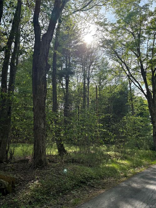 43 Lucks Rd, Greenfield Park, NY, 12435-5403 | Card Image