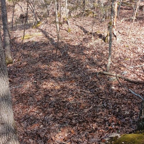 Blk3 Lot25 Elmwood Ave., Theodosia, MO, 65761 | Card Image