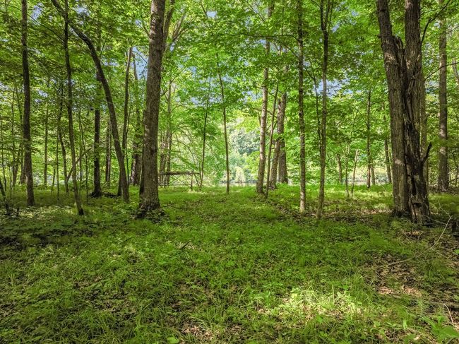 7418 Flambeau Point Rd, Home with 0 bedrooms, 0 bathrooms and null parking in LADYSMITH WI | Image 7