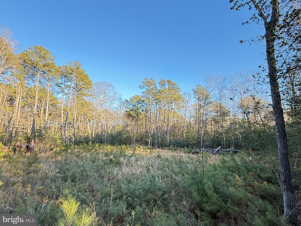Land in VALLEY LEE