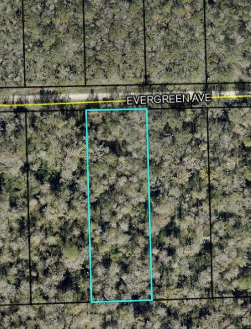 3599 Evergreen Ave, BUNNELL, FL, 32110 | Card Image