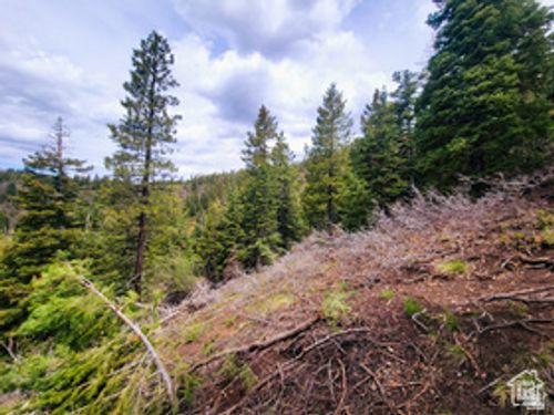 36-36 Sky Haven Mountain Retreat, Duck Creek Village, UT, 84762 | Card Image