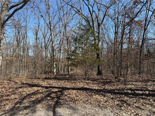 TBD Monroe Road 577, Stoutsville, MO, 65283 | Card Image