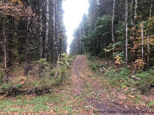 673 Alcove Rd, Hannacroix, NY, 12087-4314 | Card Image