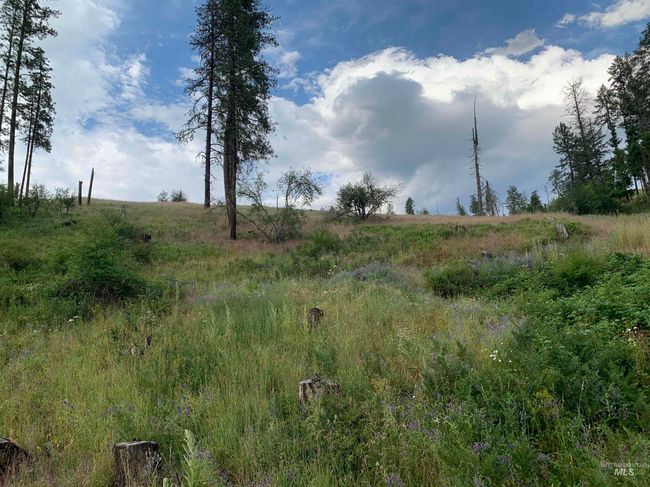 624 Clearcreek Rd, House other with 4 bedrooms, 2 bathrooms and null parking in Kooskia ID | Image 38