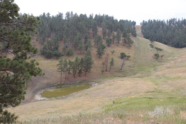 371 New Haven Rd, Home with 0 bedrooms, 0 bathrooms and null parking in Hulett WY | Image 33