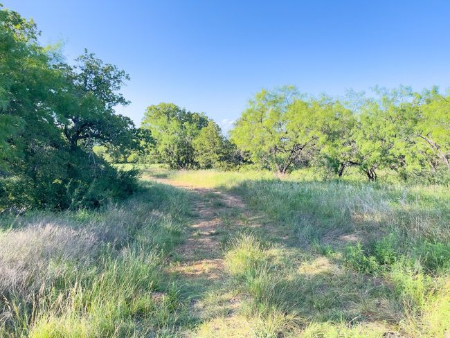 View of tree filled area | Image 13
