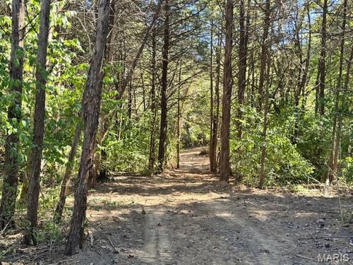 111 Elizabeth Ct, Wright City, MO, 63390-2818 | Card Image