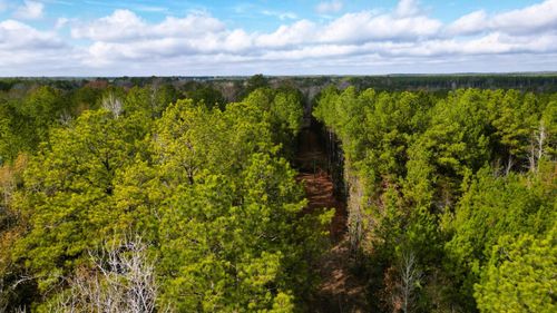 248 County Road 1047, Wiergate, TX, 75977-2928 | Card Image