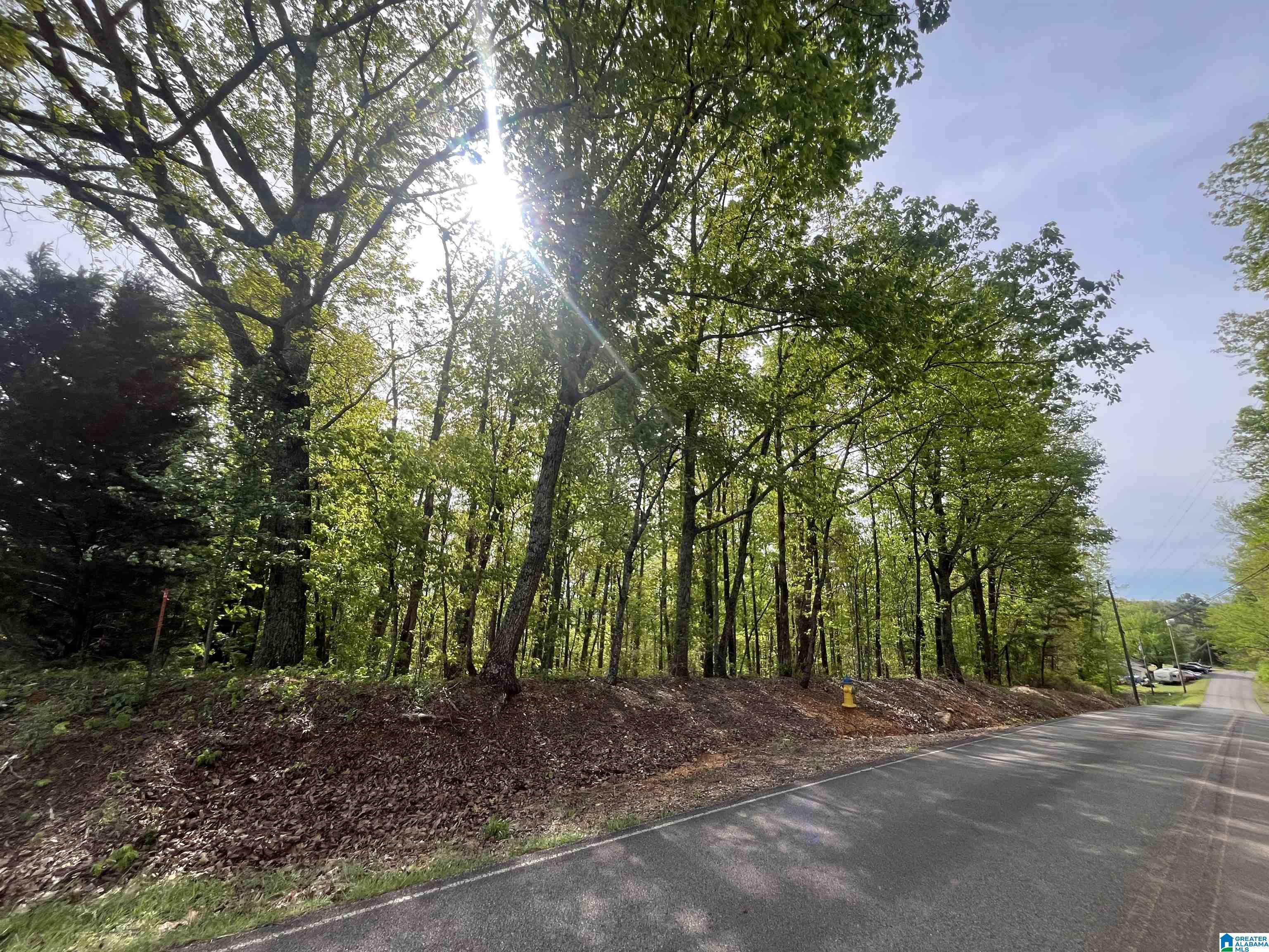 Land in TRUSSVILLE 2