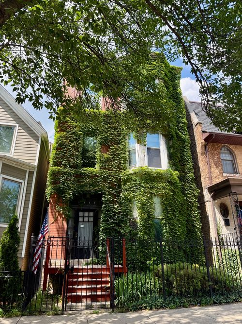 2-1132 W Addison St, Chicago, IL, 60613-3806 | Card Image