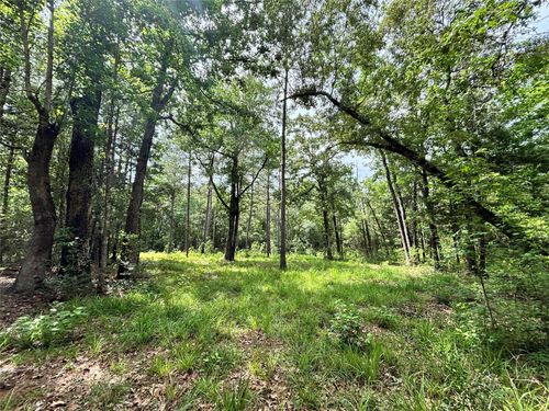 000 Peyton Lane, Hillister, TX, 77624 | Card Image