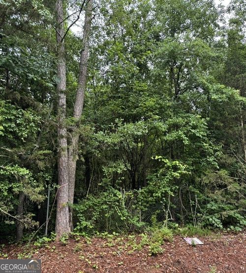 lot-20-0 Lewis Dr, Lavonia, GA, 30553 | Card Image