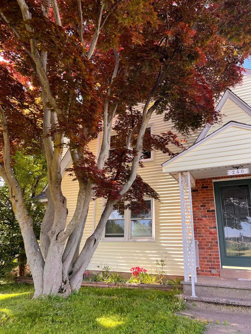 1-240 Cross St, Middletown, CT, 06457-3143 | Card Image