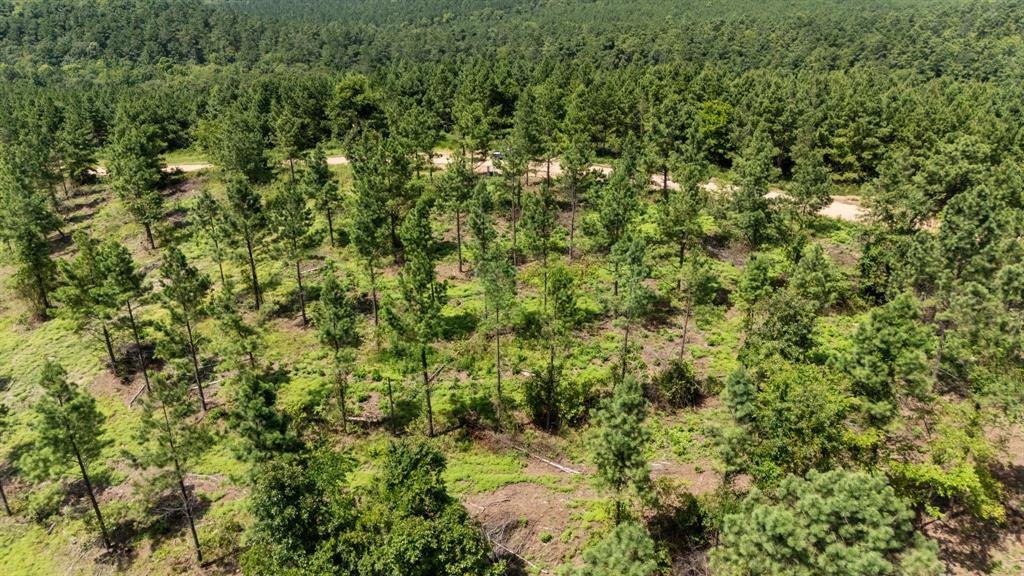 Land in Broken Bow 4