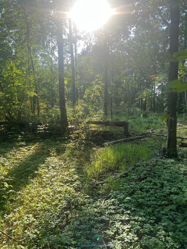 11000 Tecumseh Macon Rd, Home with 0 bedrooms, 0 bathrooms and null parking in Clinton MI | Image 4