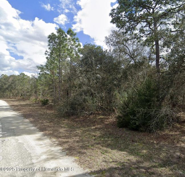 11114 Song Sparrow Ave, Home with 0 bedrooms, 0 bathrooms and null parking in WEEKI WACHEE FL | Image 4