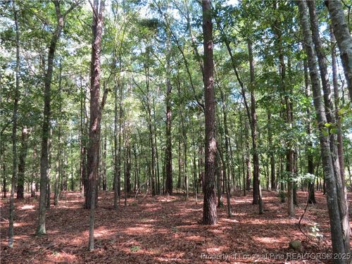 0 Rocky Fork Church Rd, Sanford, NC, 27332 | Card Image