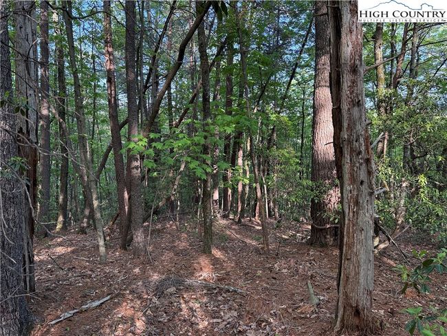 27 Wolf Pen Rd, Home with 0 bedrooms, 0 bathrooms and null parking in Purlear NC | Image 17
