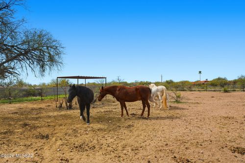 3121 N Conestoga Ave, Tucson, AZ, 85749-8847 | Card Image