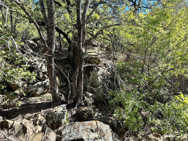 View of landscape | Image 15