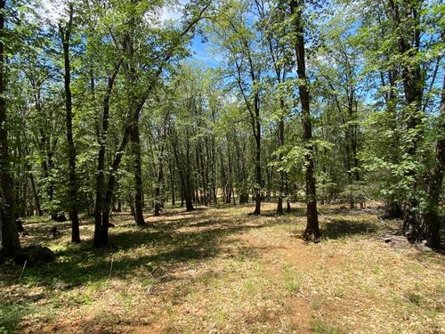 4-C-1 Columbine Rd, Weed, CA, 96094 | Card Image