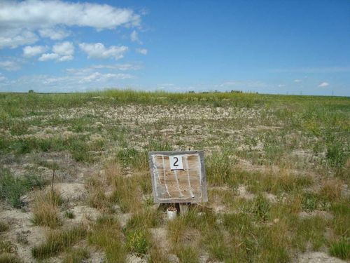 512 Coulee Trail, Stavely, AB, T0L1Z0 | Card Image