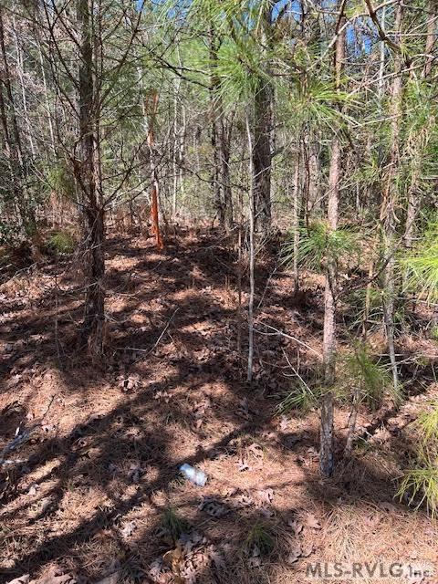 Land in Lawrenceville 3