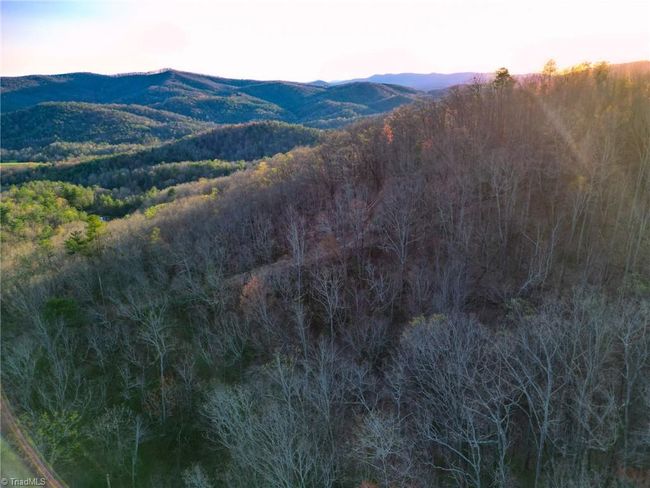 000 Gowings Knob Rd, Home with 0 bedrooms, 0 bathrooms and null parking in Mc Grady NC | Image 13