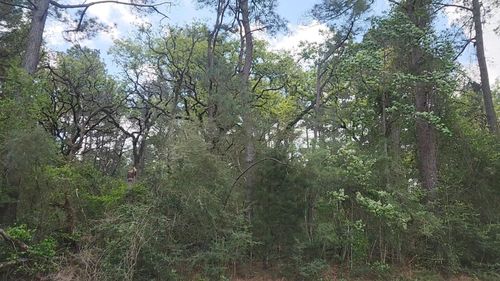 Lot 2 N Council Dr, Hempstead, TX, 77445 | Card Image