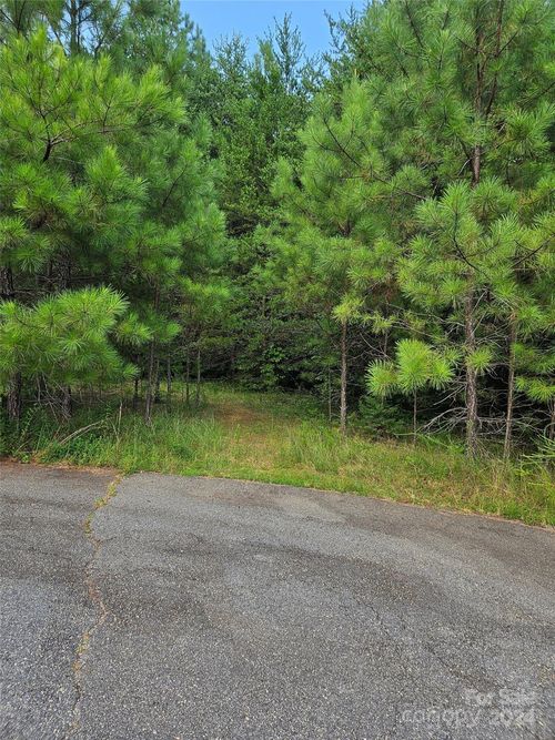 0 Pumkin Patch Rd, Rutherfordton, NC, 28139 | Card Image