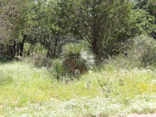 Lot 352 Rosehill Dr, Granite Shoals, TX, 78654-2211 | Card Image