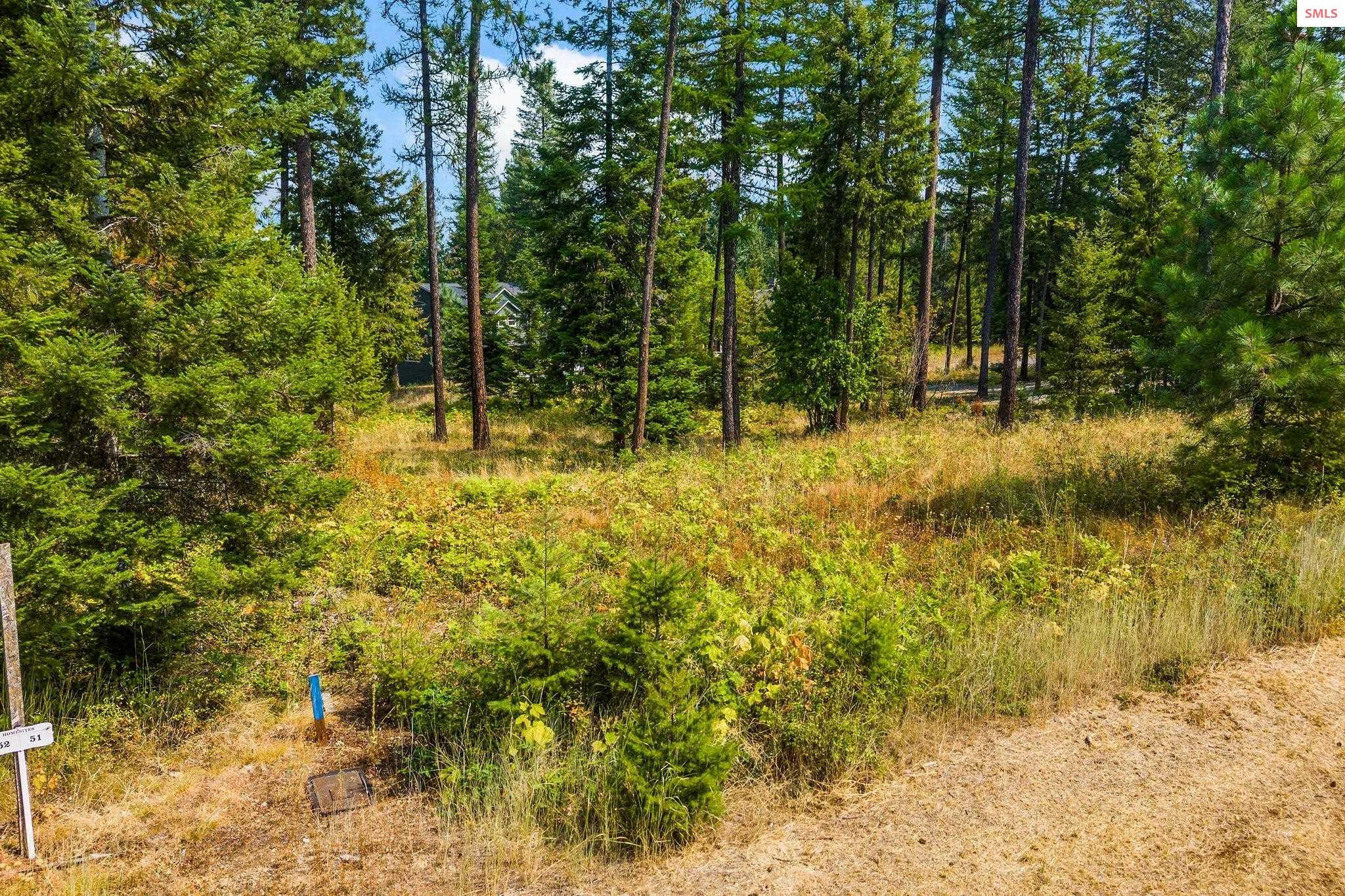 Land in Priest River 4