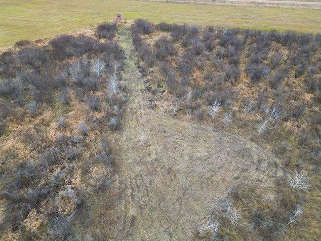 DJI_0367.JPG | Image 13