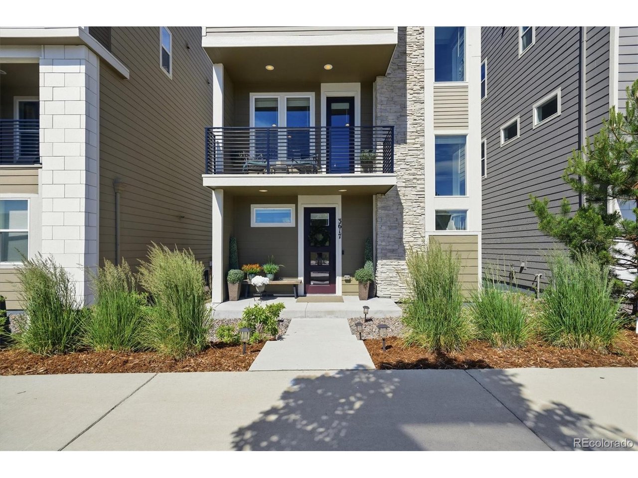 Residential in Castle Rock 5