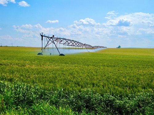 0 Buena Vista Rd, Valier, MT, 59486 | Card Image