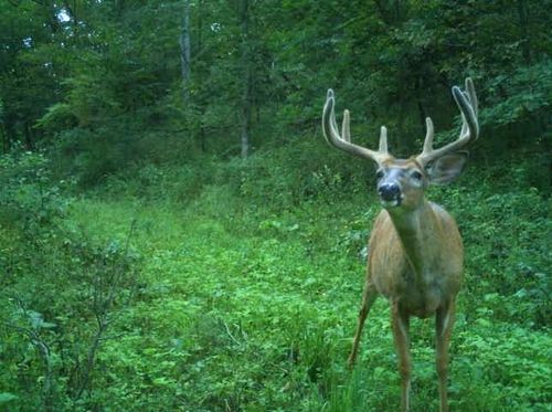 32974 Potter Ln, MUSCODA, WI, 53573 | Card Image