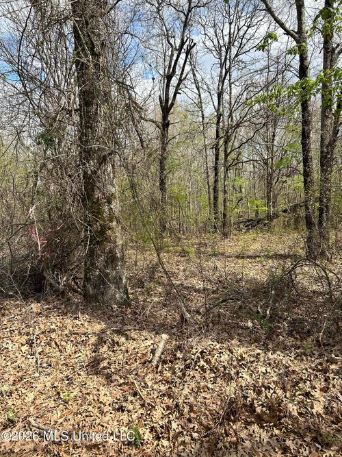 Lot 8 Matthews Dr, Byhalia, MS, 38611 | Card Image