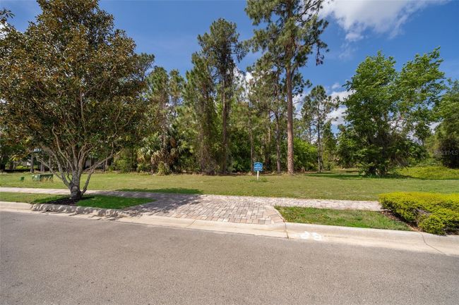 15902 Pendio Dr, Home with 0 bedrooms, 0 bathrooms and null parking in BELLA COLLINA FL | Image 11