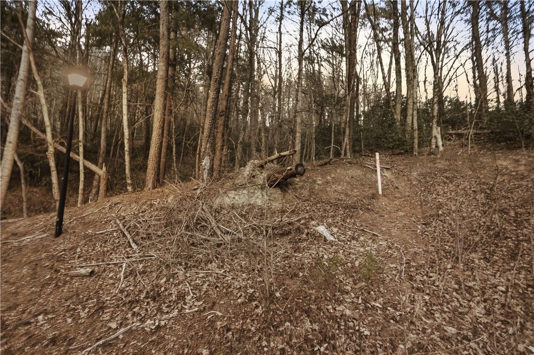 Land in Landrum 2