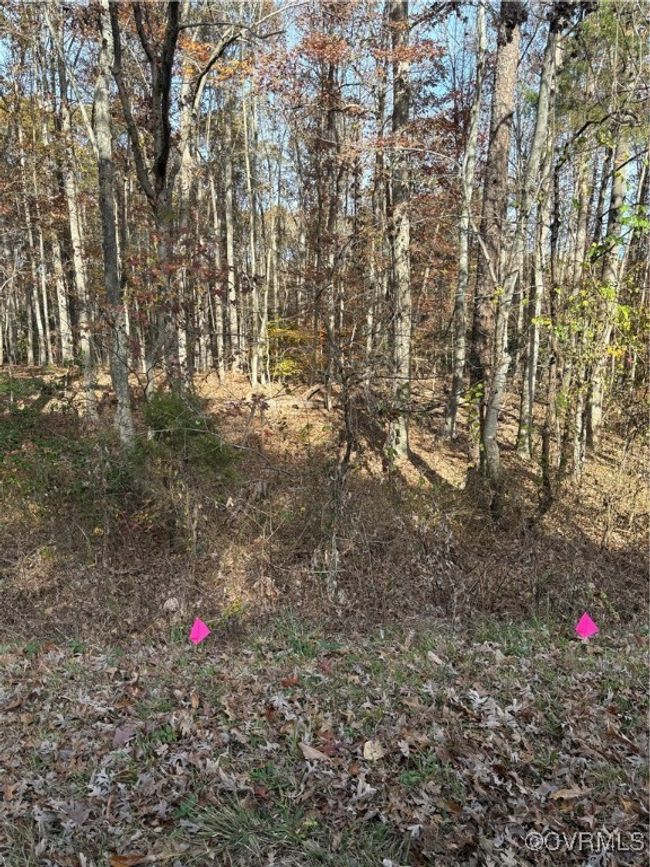0 Broad Street Rd, Home with 0 bedrooms, 0 bathrooms and null parking in Gum Spring VA | Image 7
